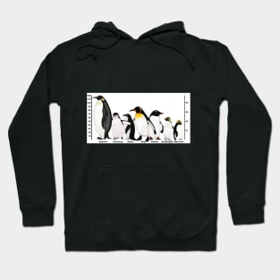 Antarctic Penguins Height Hoodie